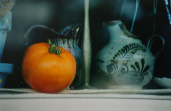 2010 01 11_5231_edited-3