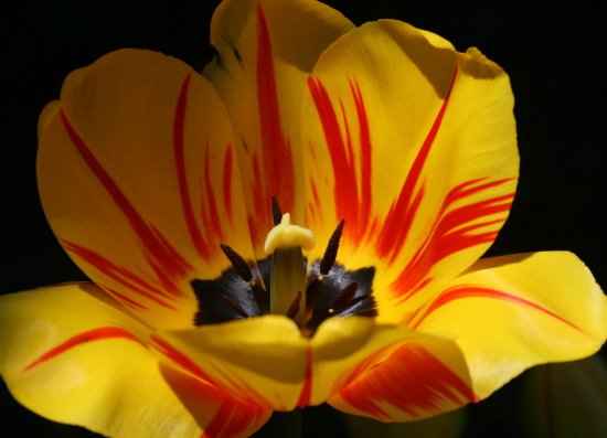 165223_1570516262682_4465721_n[1]