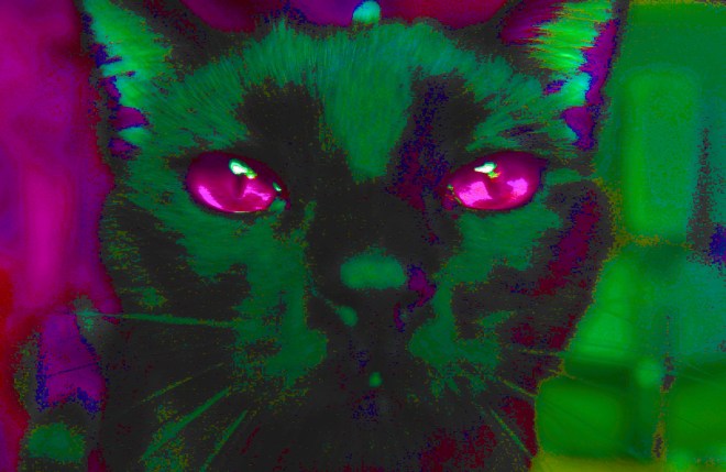 IMG_6758_0344_edited-3