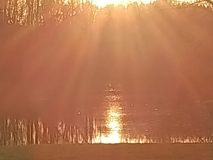 IMG_20180504_192223730