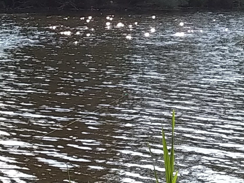 IMG_20180607_164944732