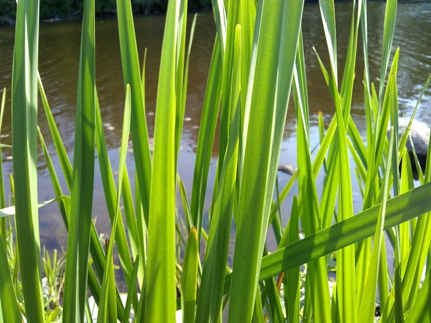 IMG_20180607_174406756