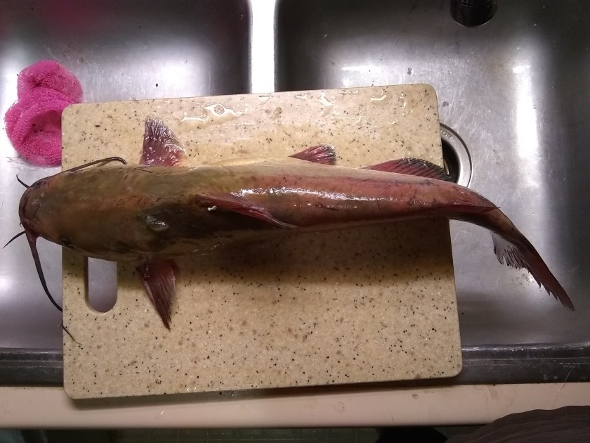 IMG_20180810_205840455