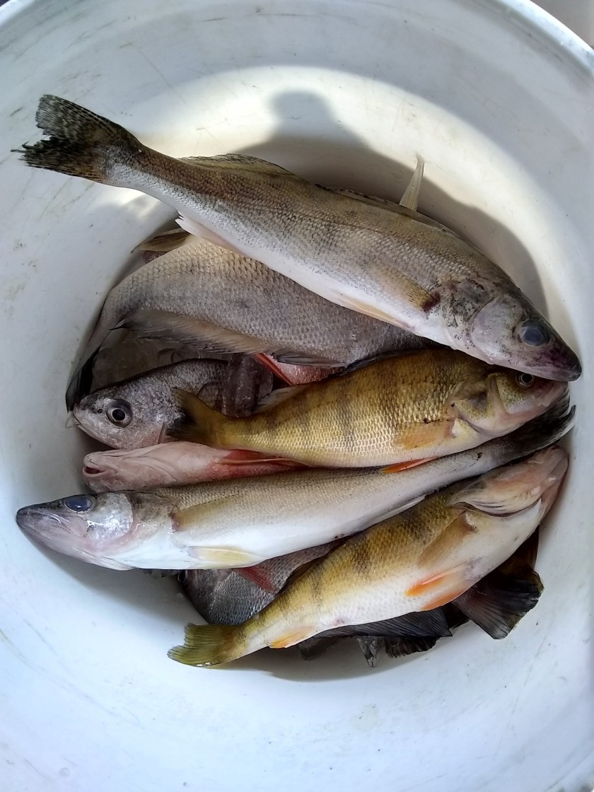 IMG_20180819_165052186_HDR