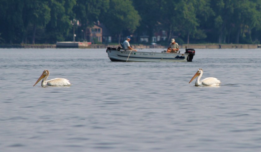 IMG_4847 (1) (2).jpg