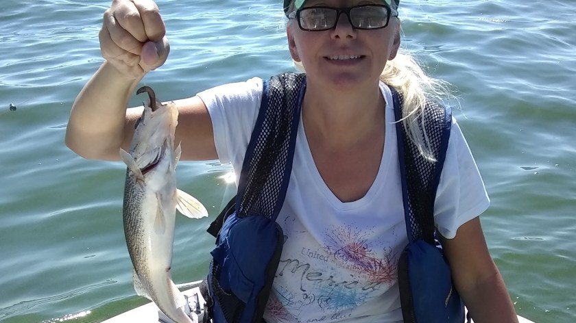 IMG_20180915_132830980 (2)