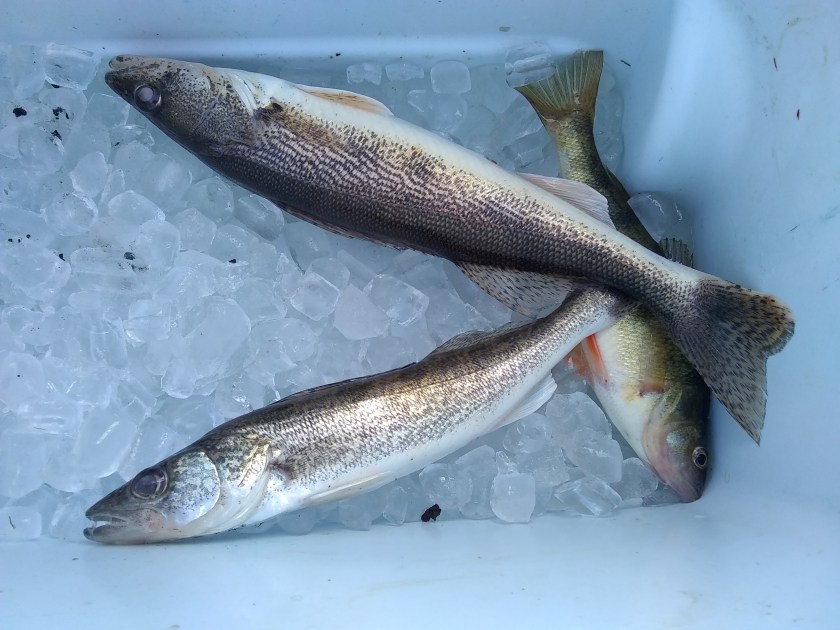 IMG_20180915_141148898