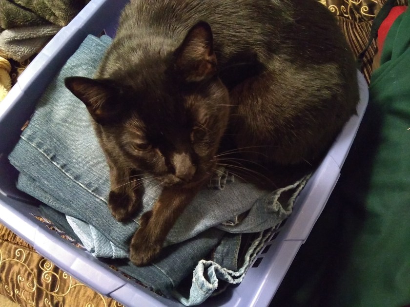 IMG_20181226_162213265