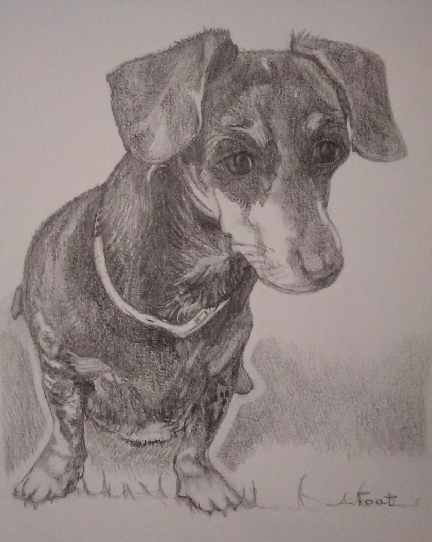 img_20181222_092148494