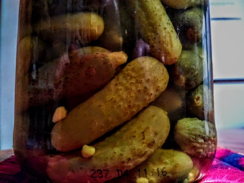 img_20190112_102455522