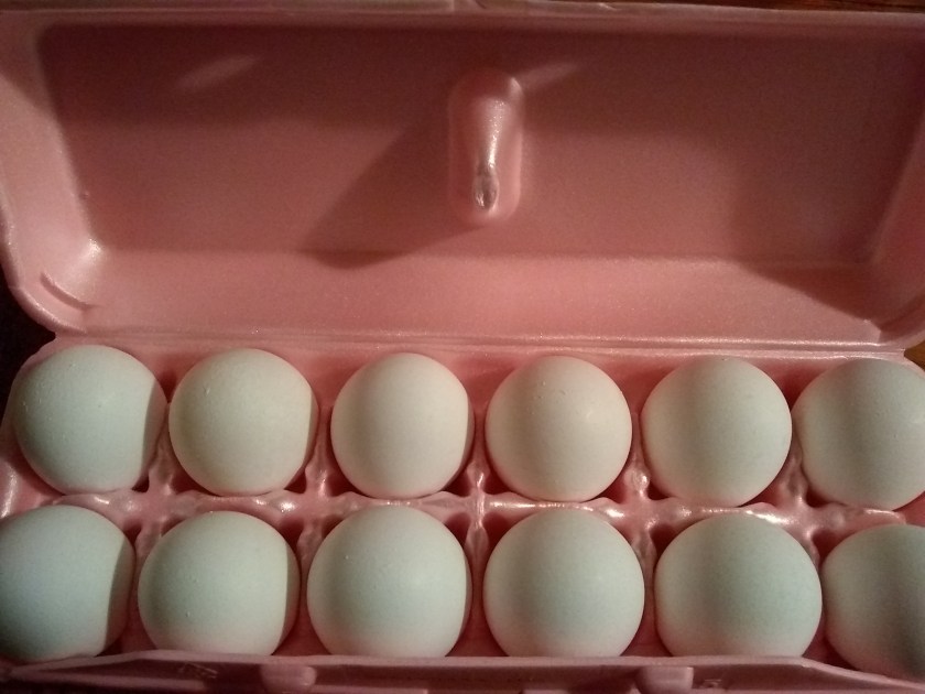 img_20190113_094951480