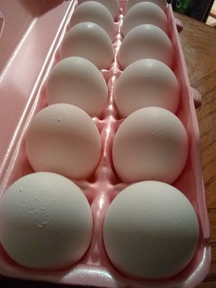 img_20190113_095037278