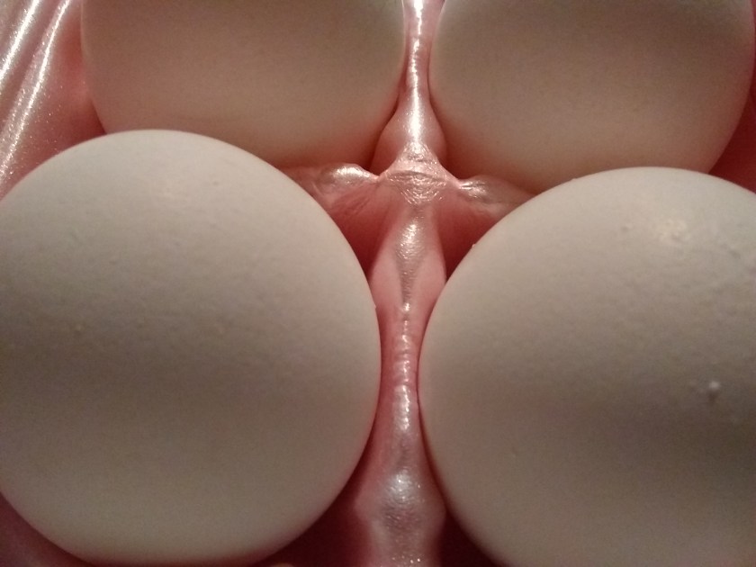 img_20190113_095110841