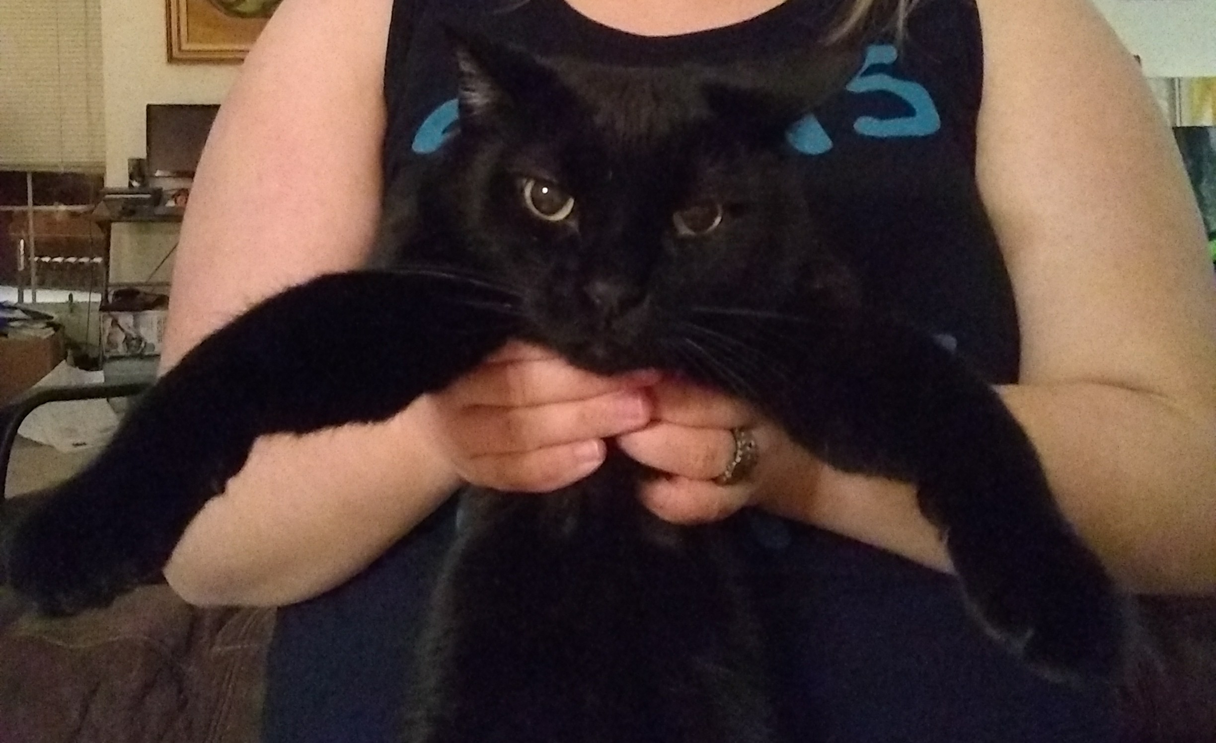 img_20190122_183217681