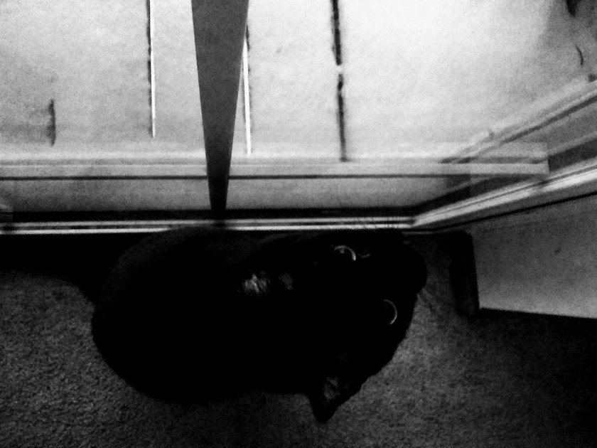 img_20190128_071512966