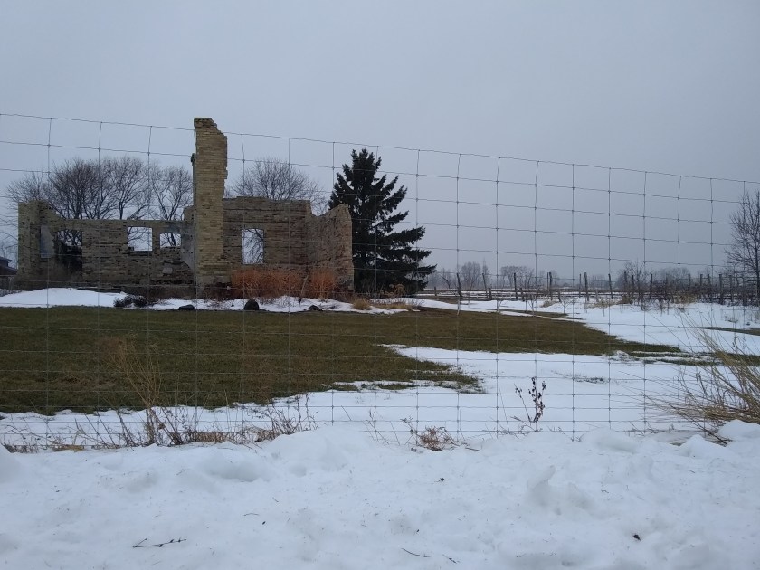 IMG_20190203_132415264