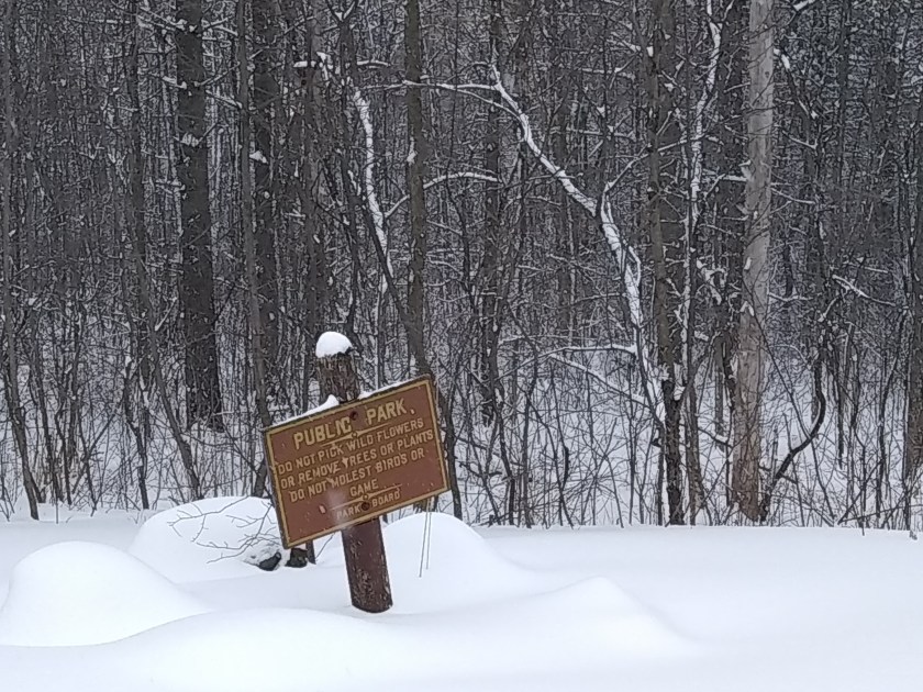 IMG_20190212_160641533