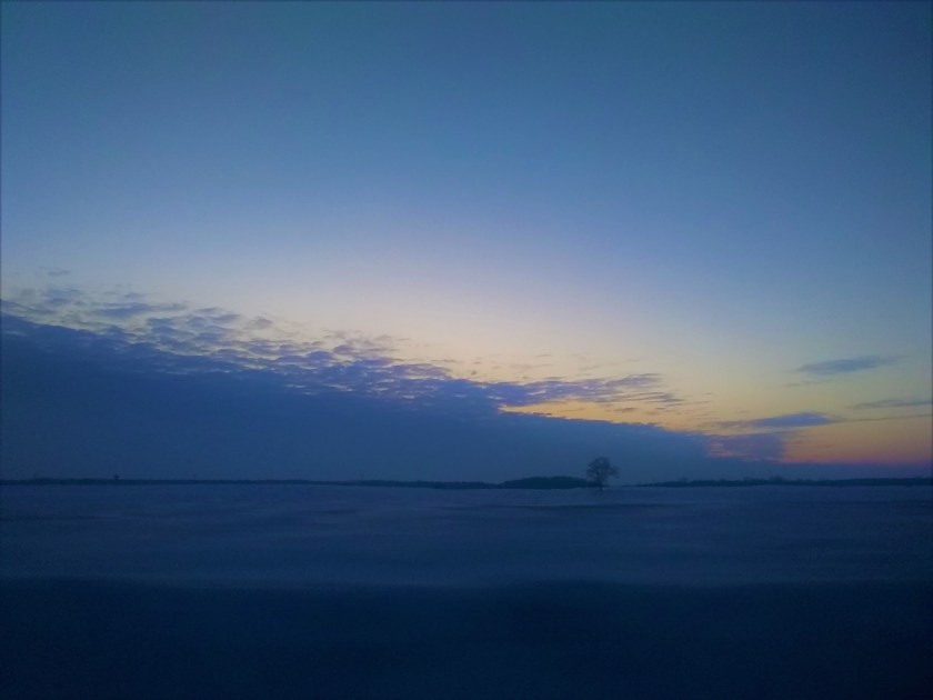 IMG_20190222_174922889