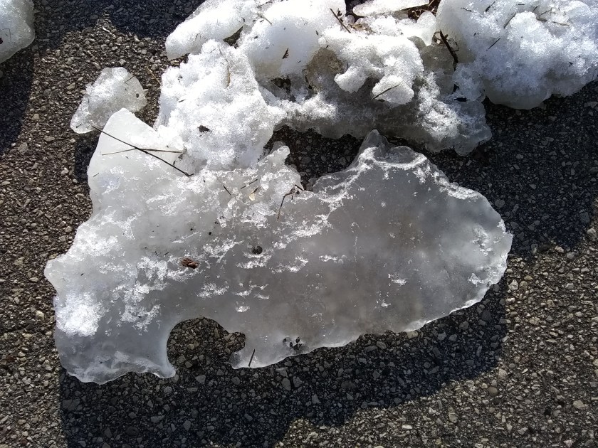 IMG_20190318_164939131