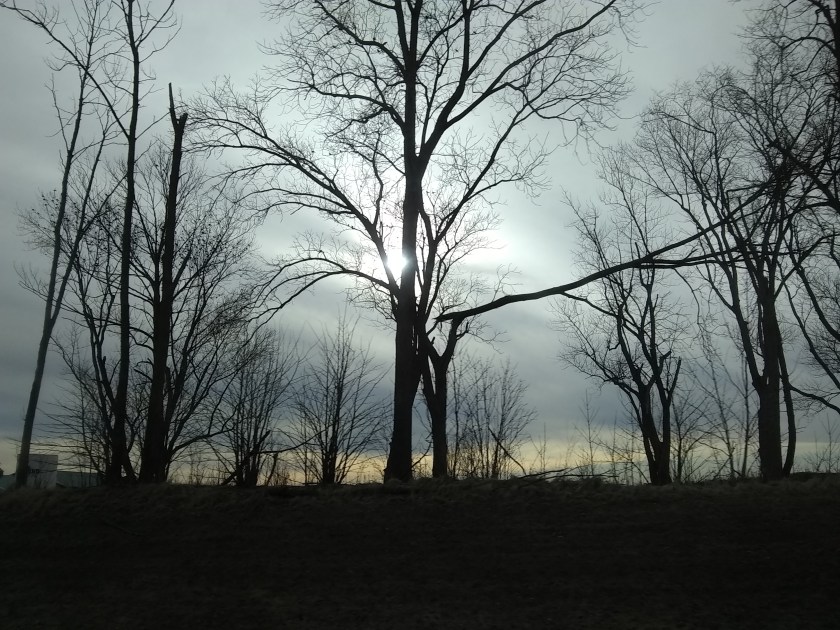 IMG_20190326_172549527