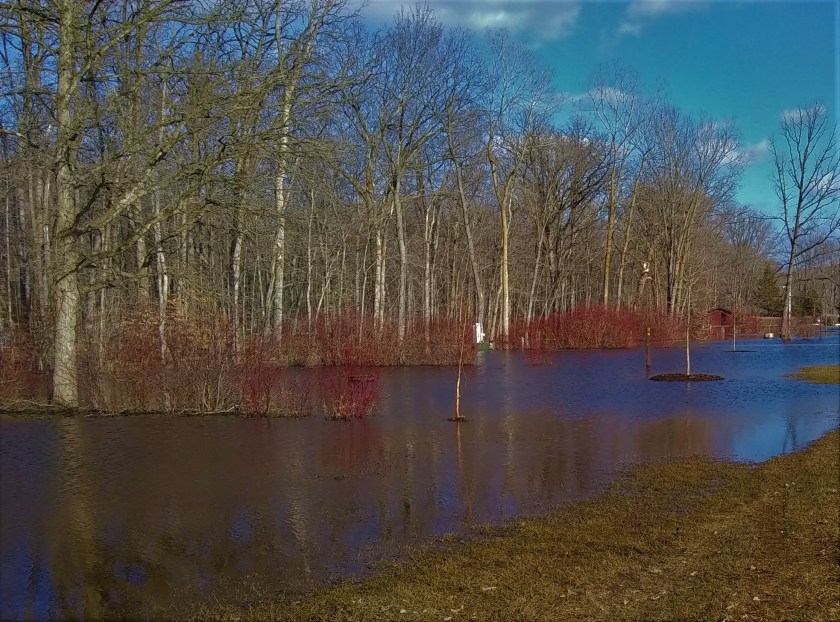 IMG_20190318_165153942 (2)