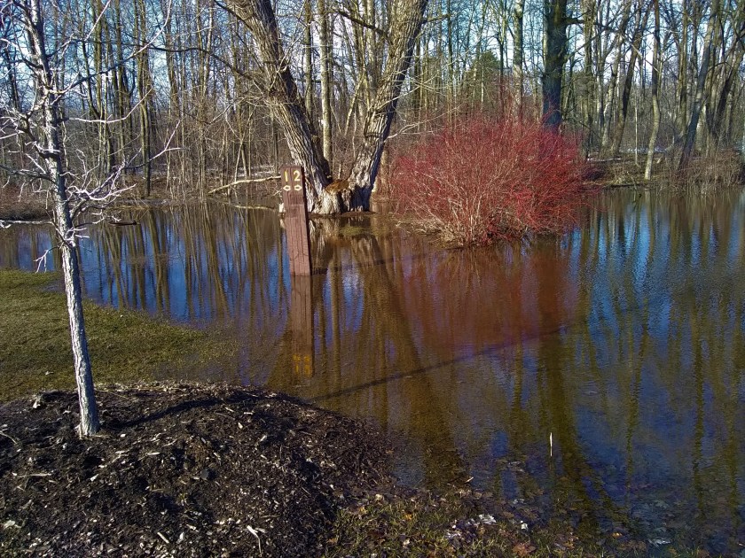 IMG_20190318_165202960