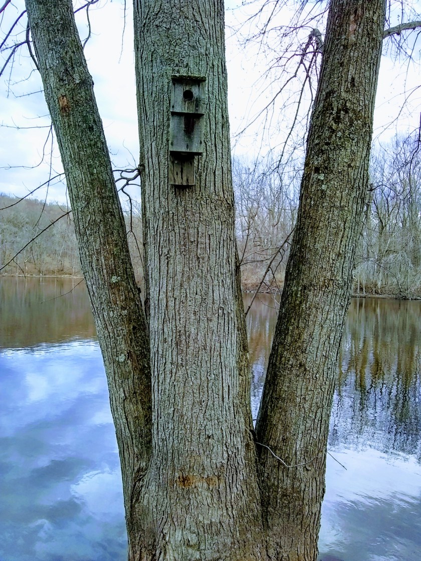 IMG_20190409_180538370_HDR