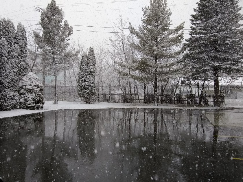 IMG_20190410_174604138