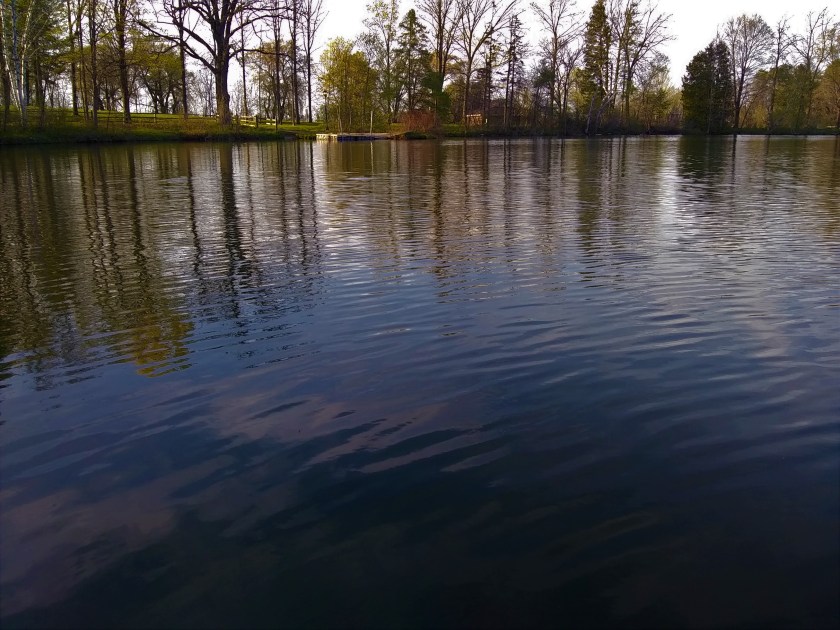 IMG_20190516_190259279