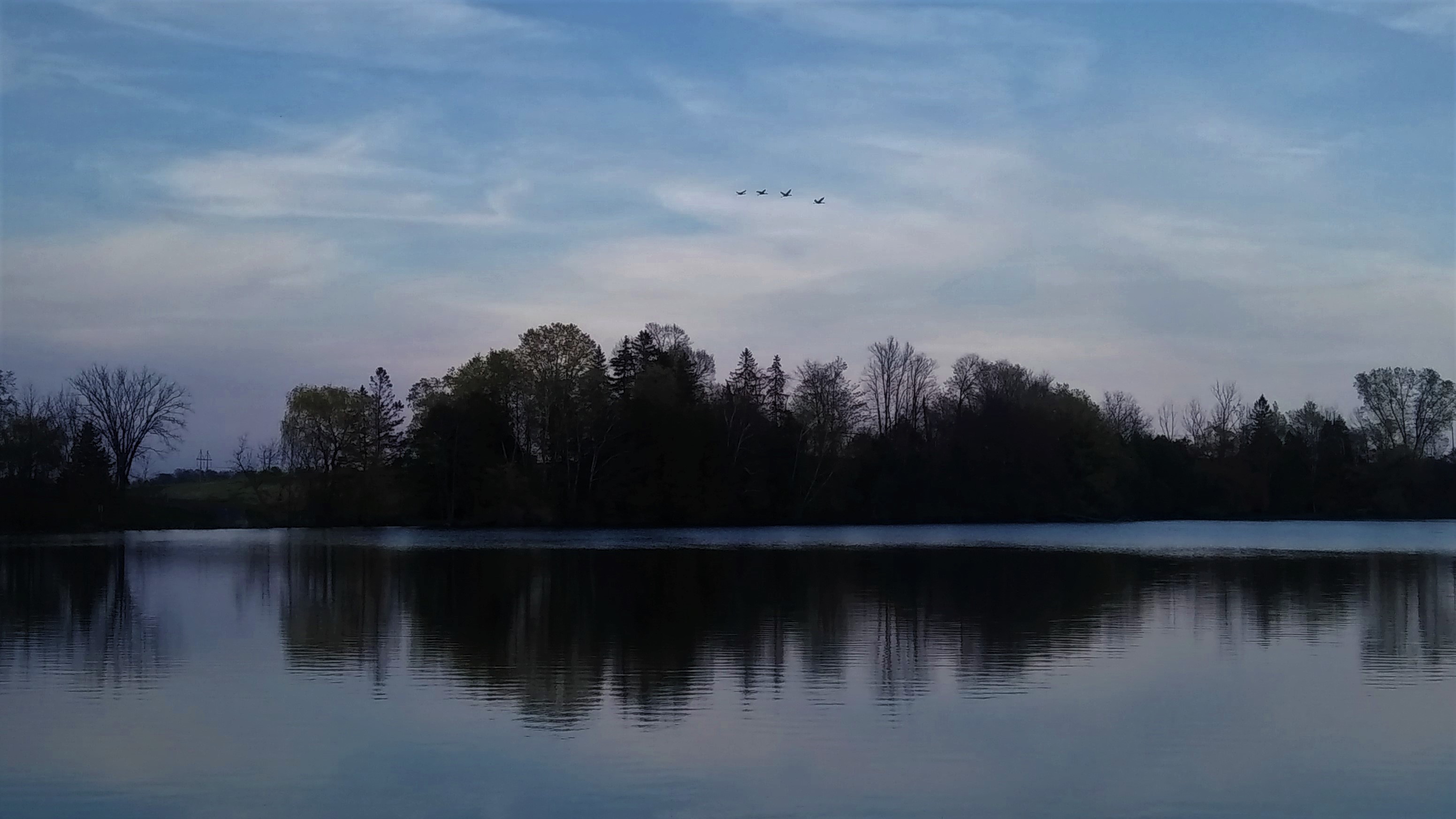 IMG_20190516_192436904