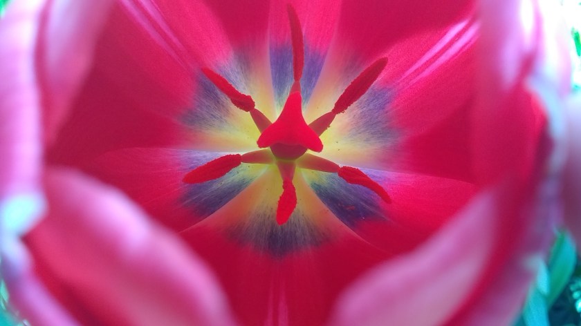 IMG_20190525_160331275