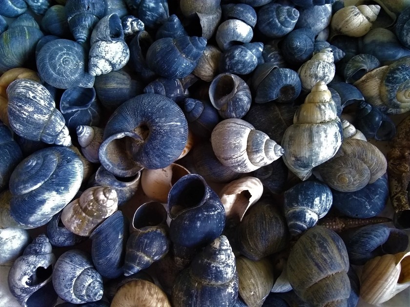 IMG_20190515_172455685