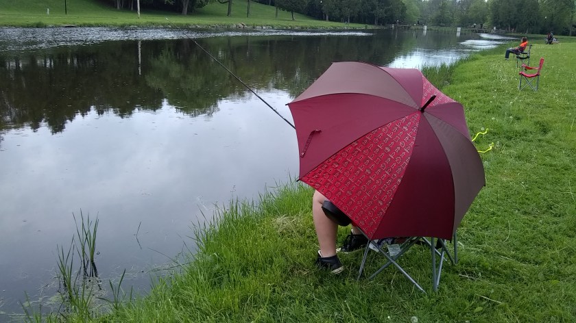 IMG_20190601_153226431