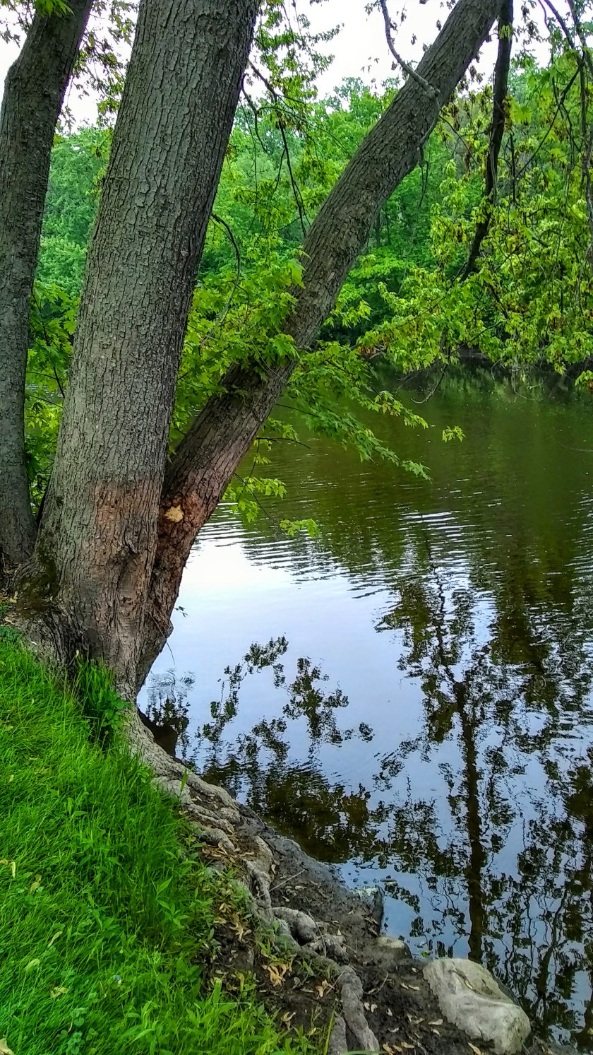 IMG_20190609_172658687