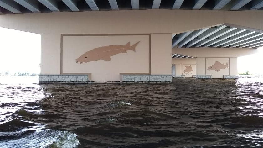 IMG_20190622_170835312