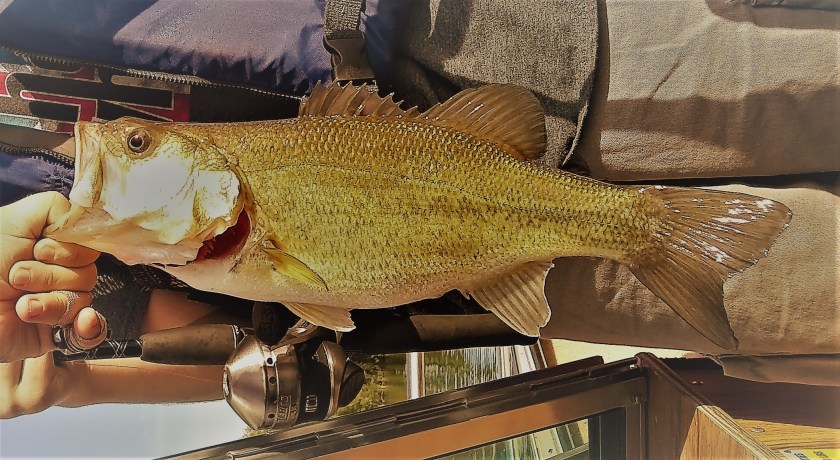 IMG_20190626_180309085 (5)