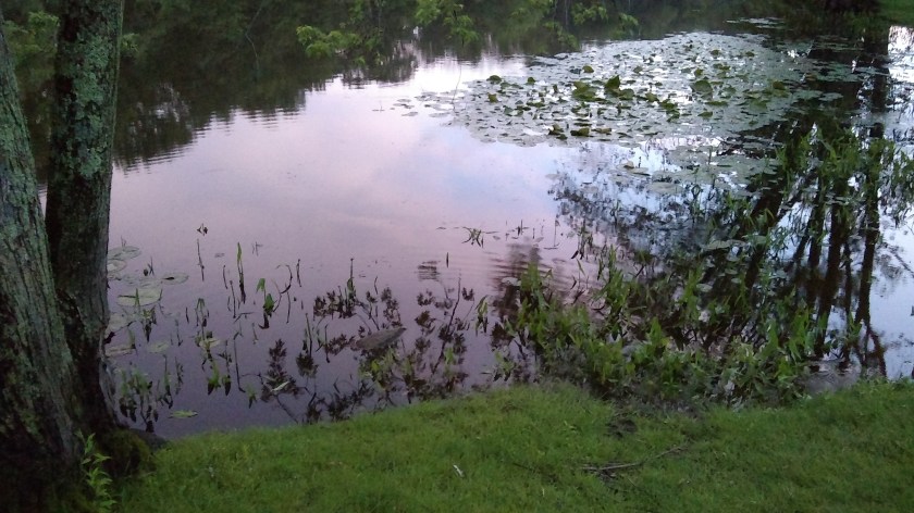 IMG_20190702_205510147