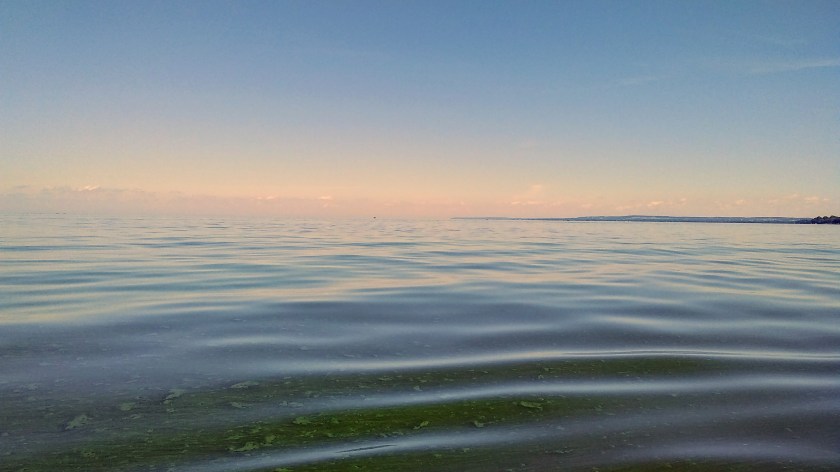 IMG_20190728_105619036