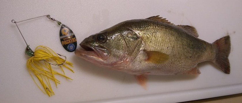 IMG_20190811_161803325