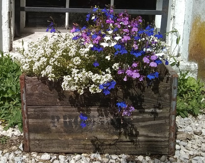 IMG_20190621_154926447