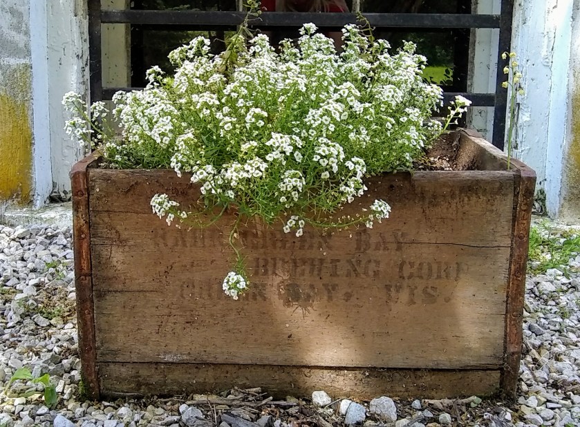 IMG_20190621_154943315