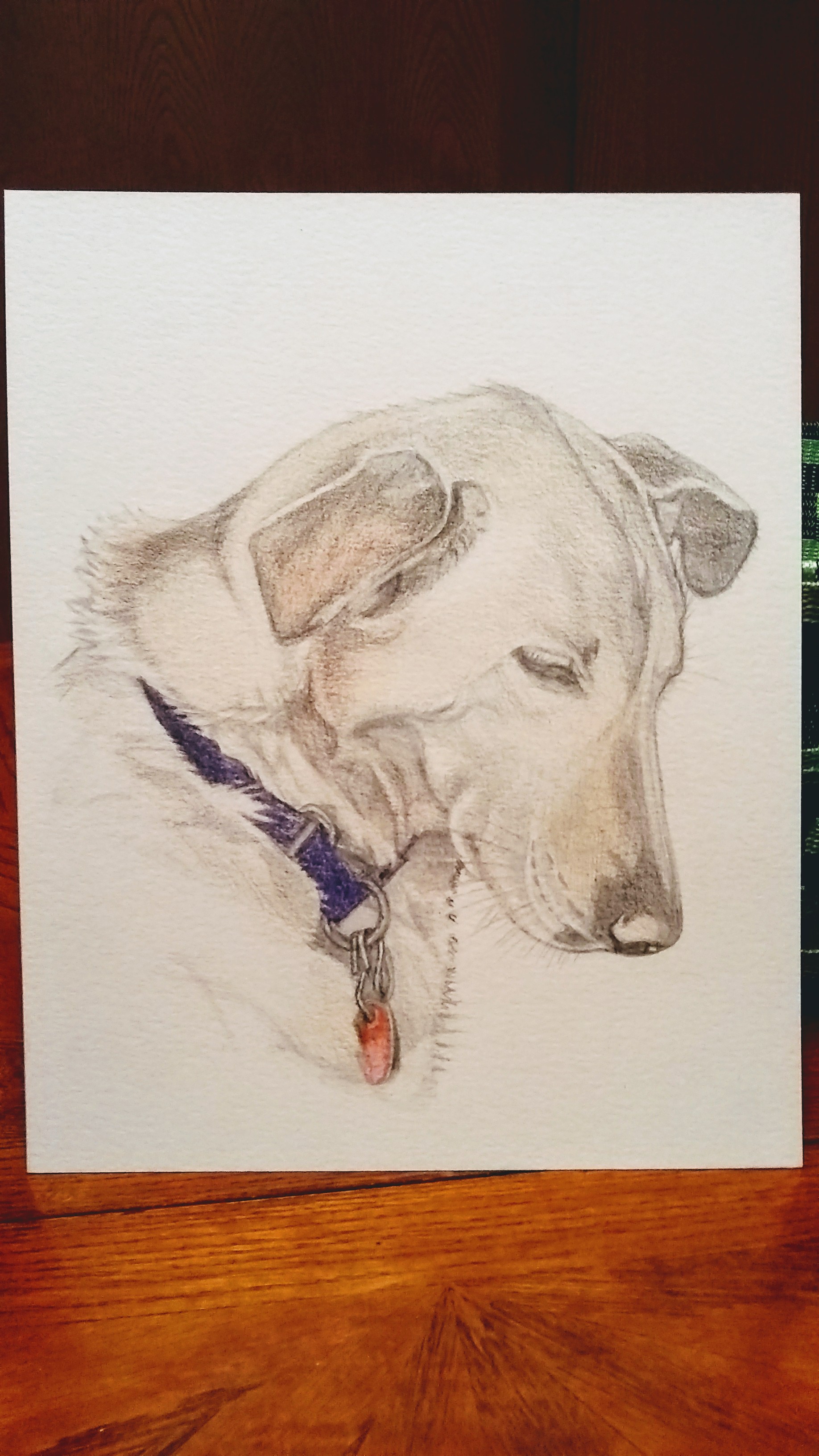 IMG_20200406_210706637~2